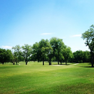 Starcke park golf course